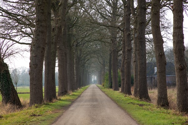 Medium property photo - Koninksweg 3C, 7065 AD Sinderen